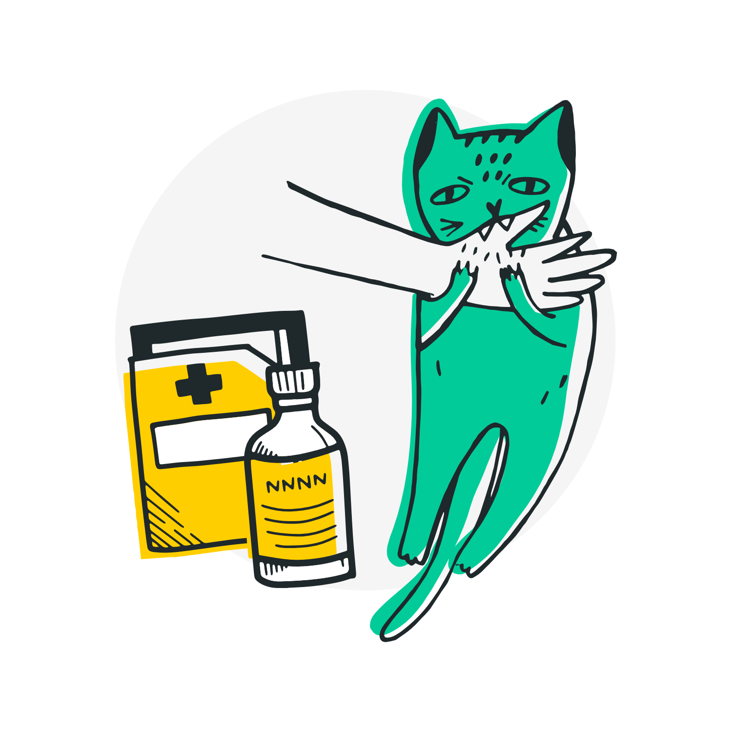 Vaccinations for Cats